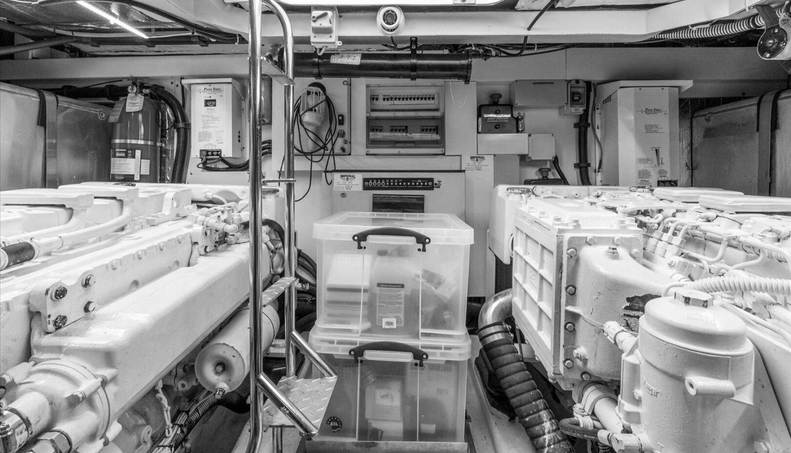 Cheers For Sale image67