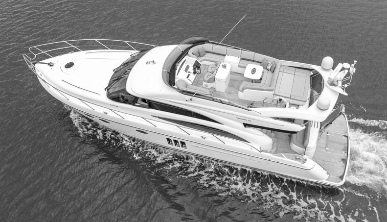 Enzo For Sale image114