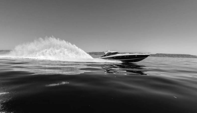 PARVINA For Sale image31