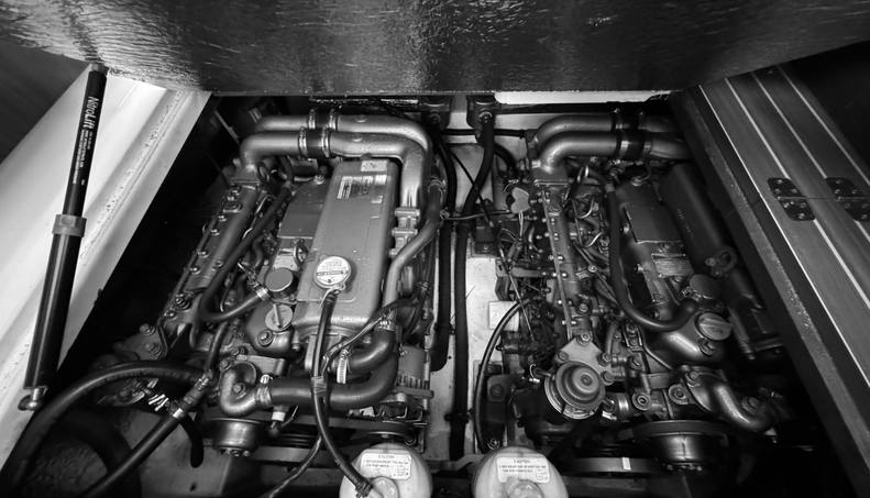 Morning Star For Sale image15