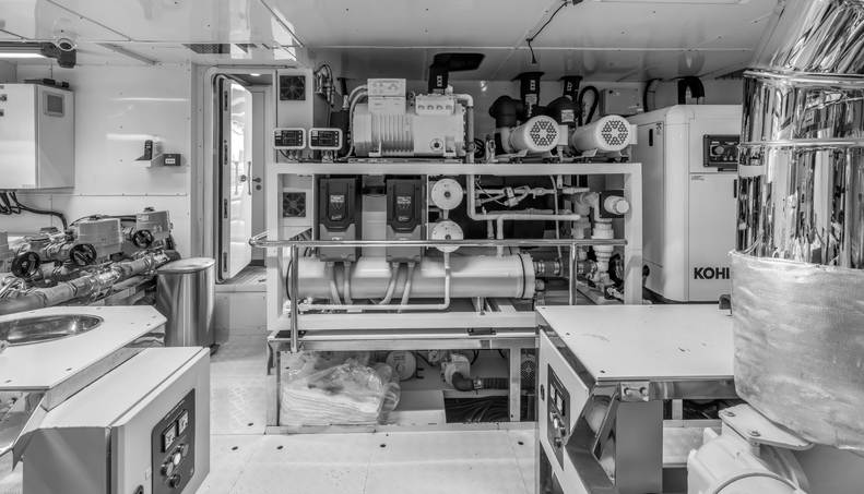 EVELYN P For Sale image90