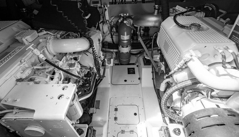 Endurance For Sale image61