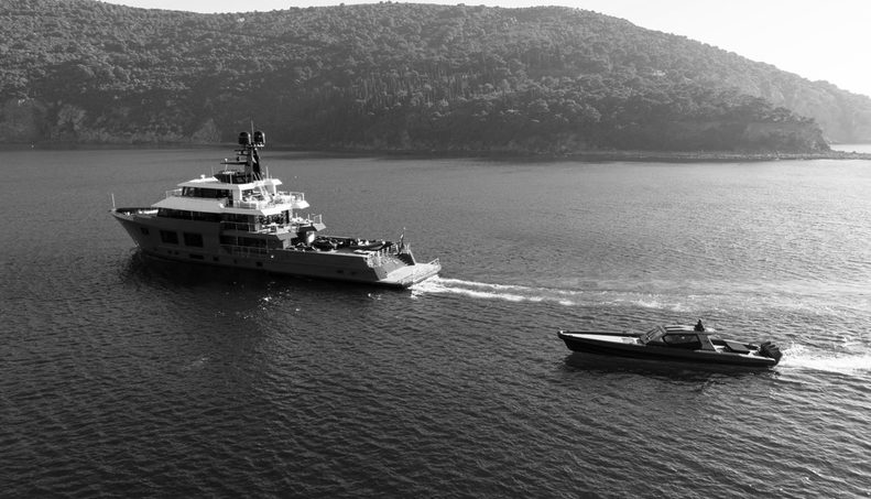 KING BENJI For Sale image37