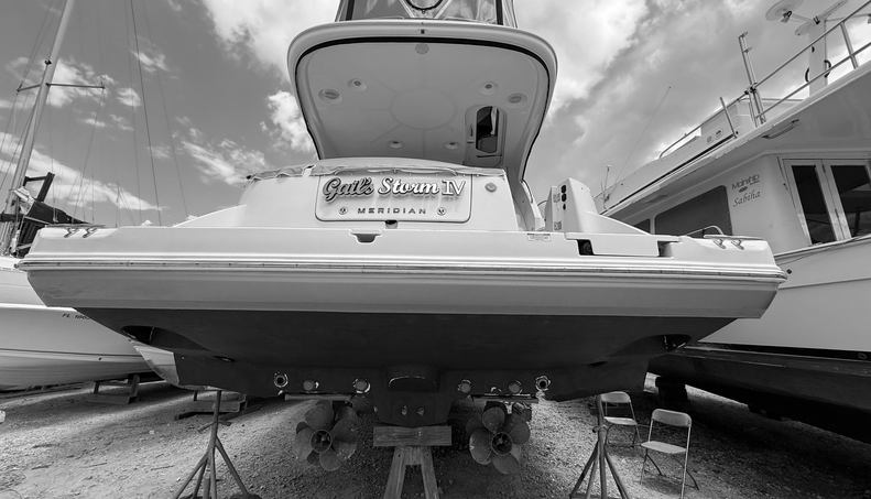 Gail’s Storm IV For Sale image115