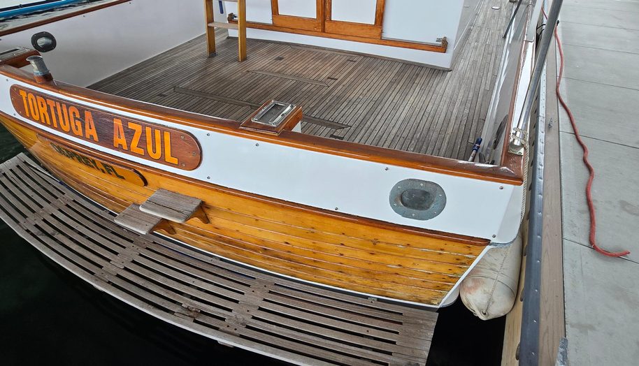 Tortuga Azul for sale 11