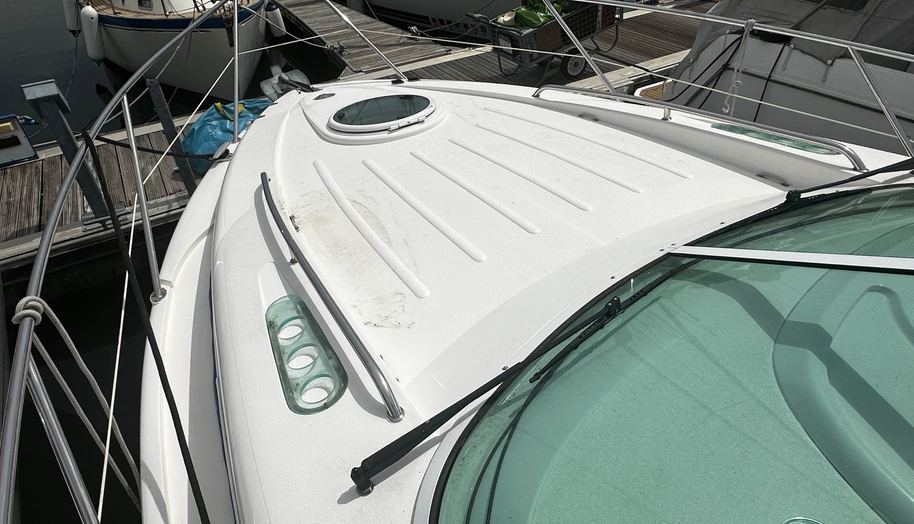 Alisma for sale 6