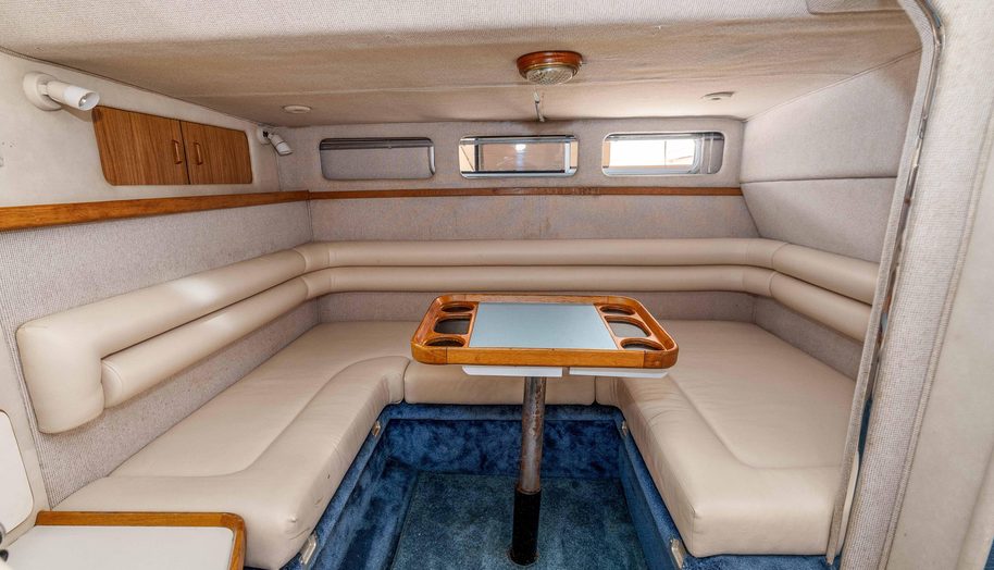 Sea Oddity for sale 21