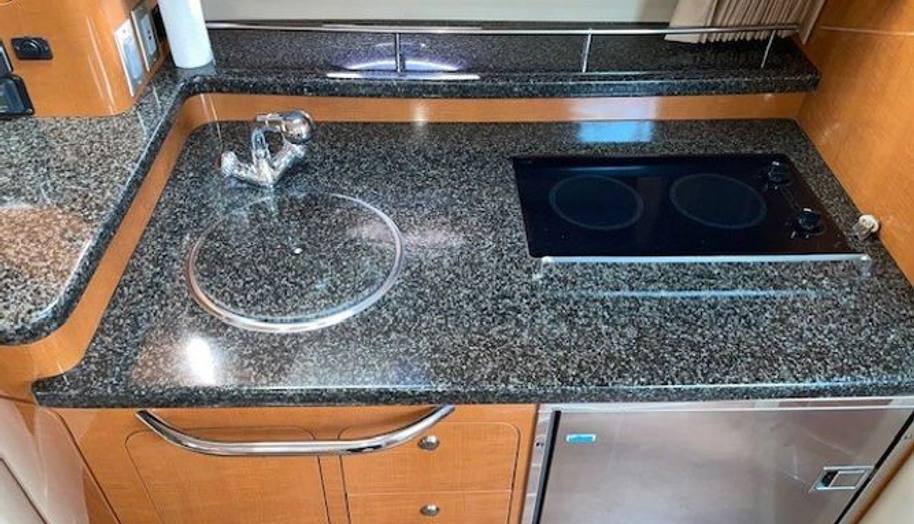 SEAHORSE for sale 16