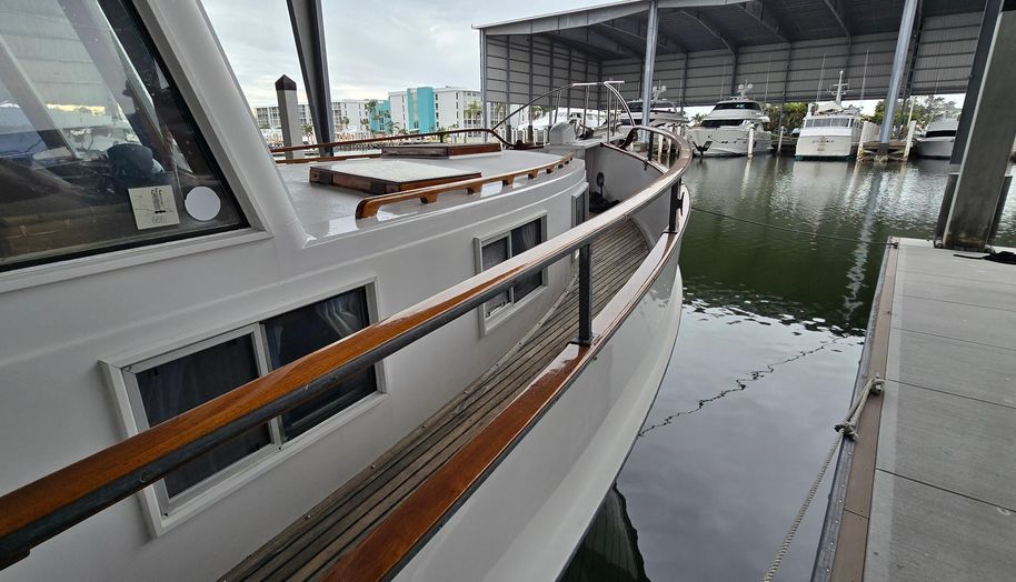 Tortuga Azul for sale 16