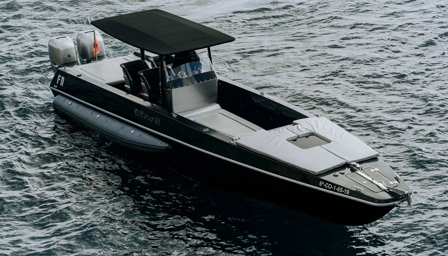 F11 for sale 1
