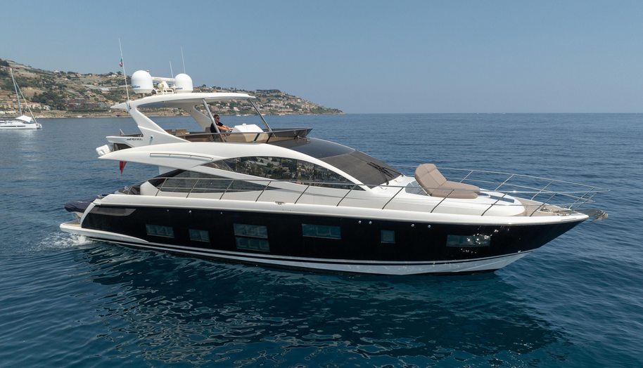 Luna of Chester for sale 41