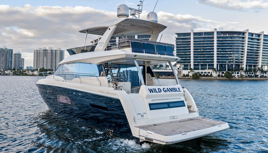 WILD GAMBLE for sale 11