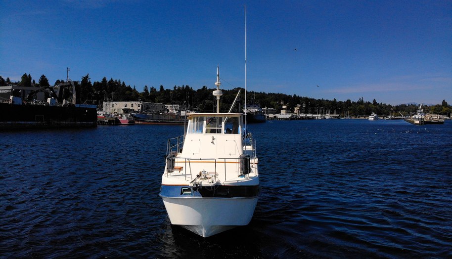 Amazing Grace for sale 6