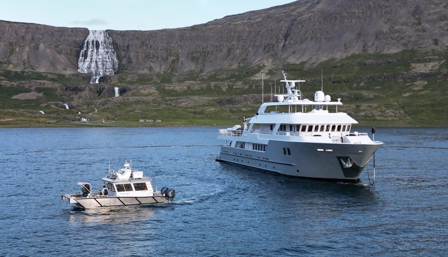 Compass Rose for sale 6