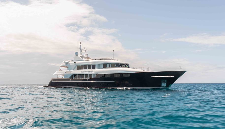 Summerdance for sale 1