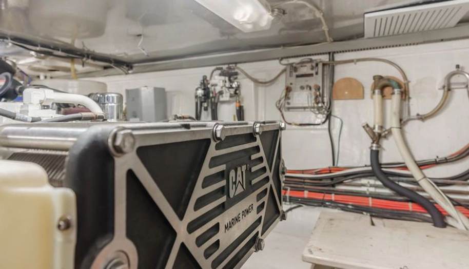 Tribeless for sale 126