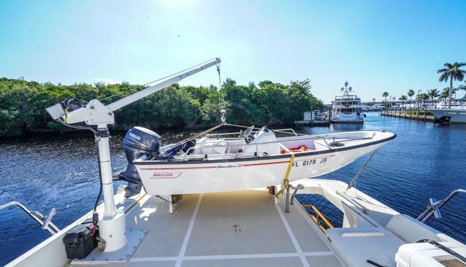 THE GARLIC for sale 16