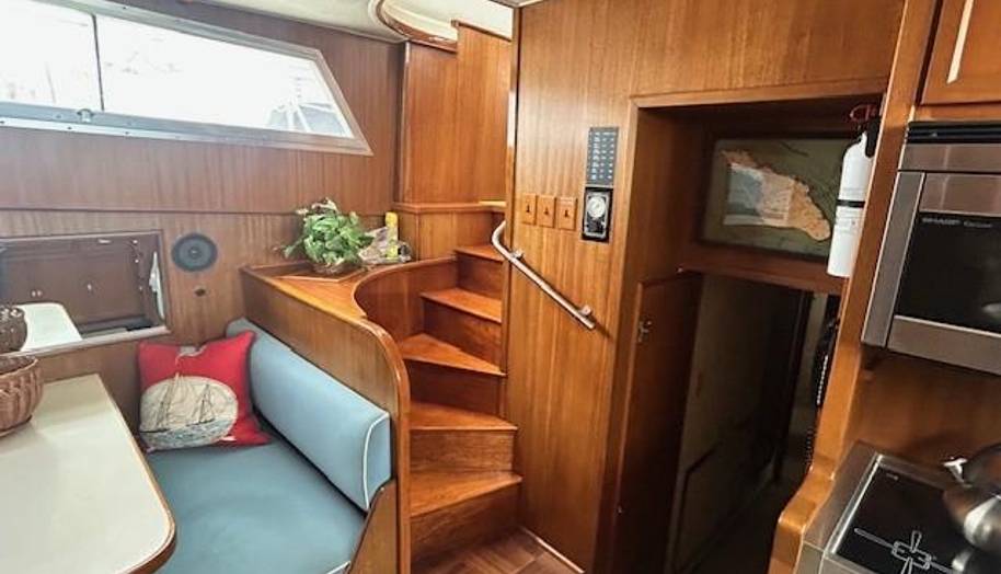 Day Light for sale 36