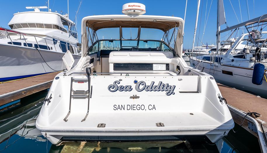 Sea Oddity for sale 6