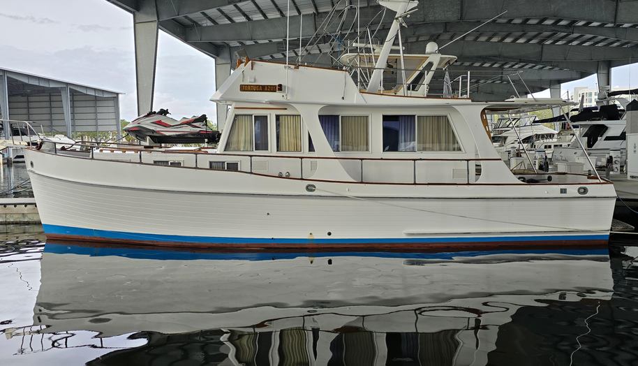 Tortuga Azul for sale 6