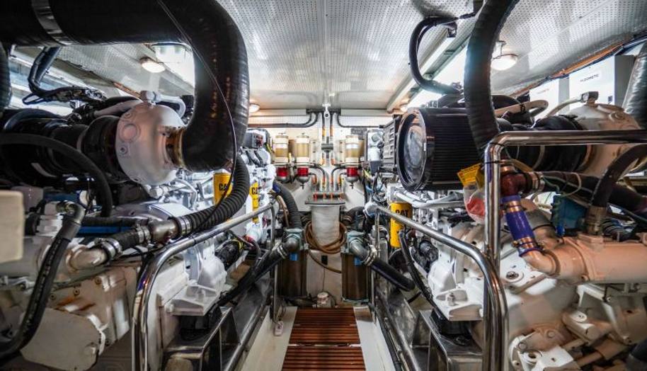 THE GARLIC for sale 41