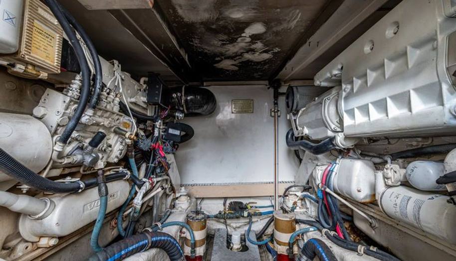 VET BILLZ for sale 36