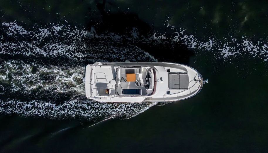 NEVERLAND for sale 11