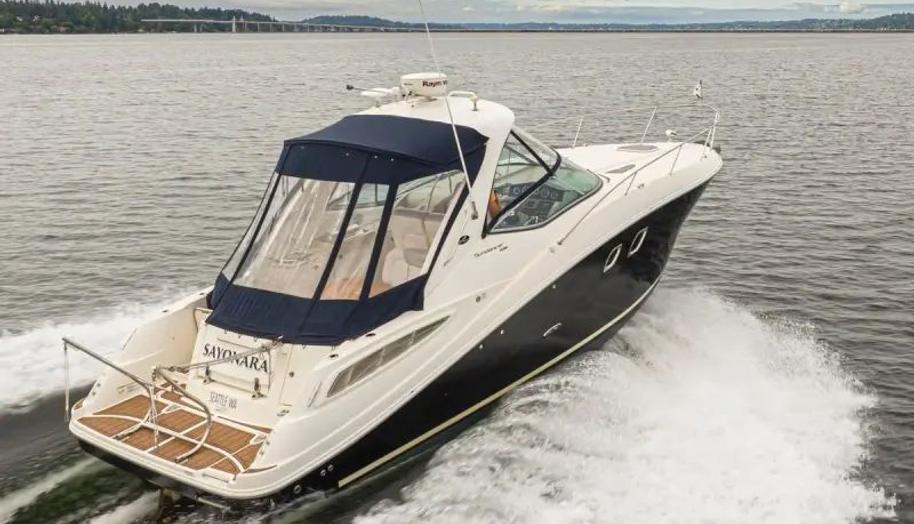 Sayonara for sale 6