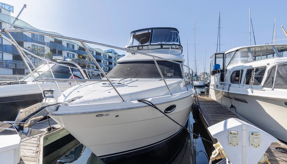 ANCHOR MANAGEMENT for sale 11