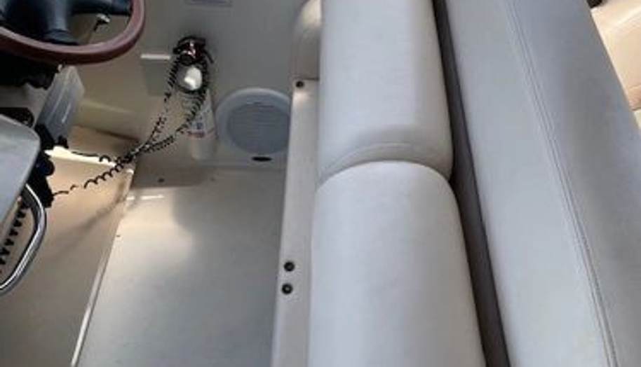 SEAHORSE for sale 11