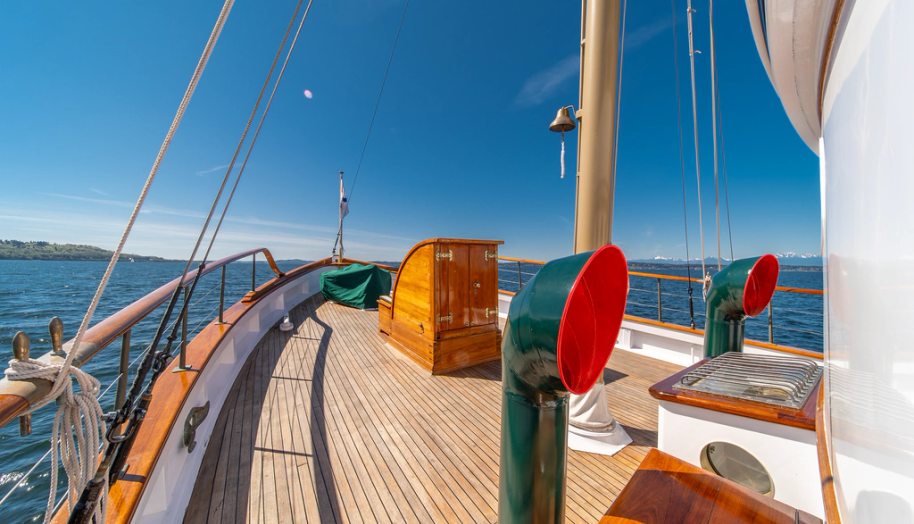 Blue Peter  for sale 26