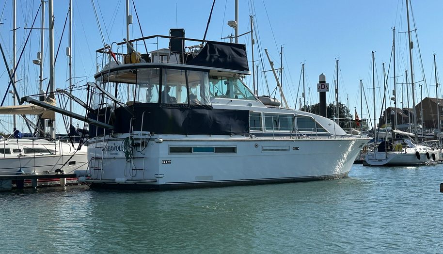 Sea Wolf for sale 6