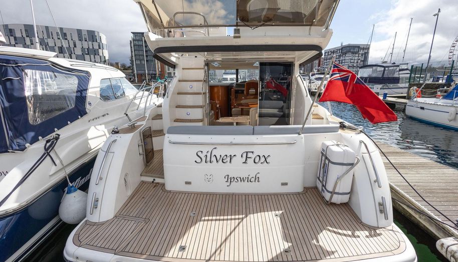 Silver Fox for sale 11