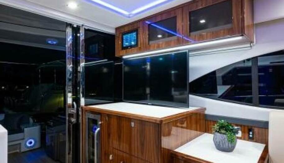 Greyhound for sale 31