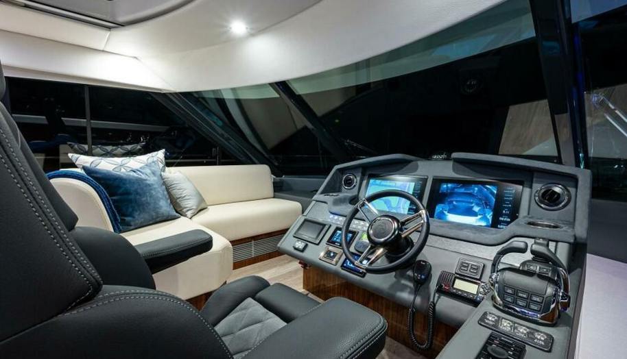 Greyhound for sale 41
