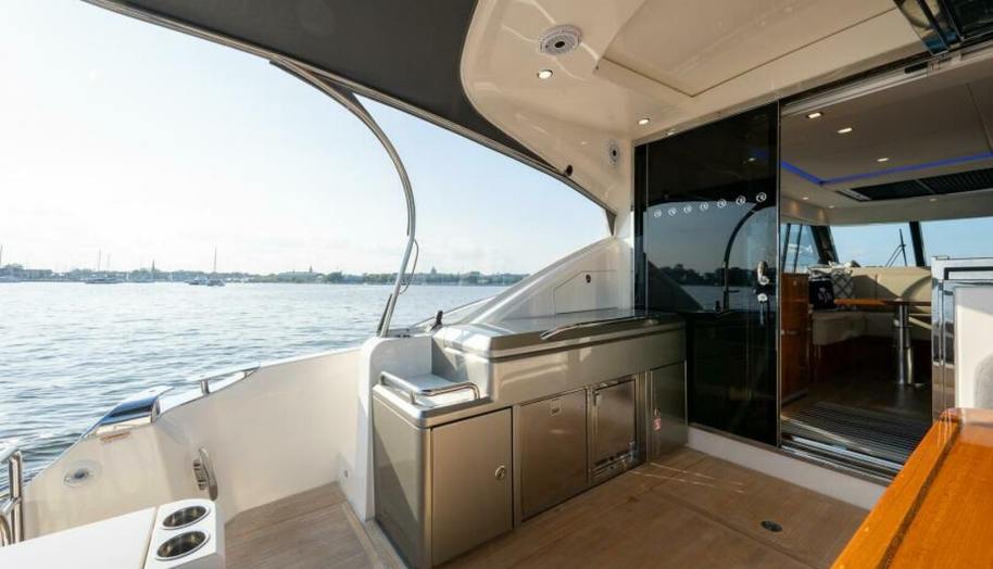 Greyhound for sale 26