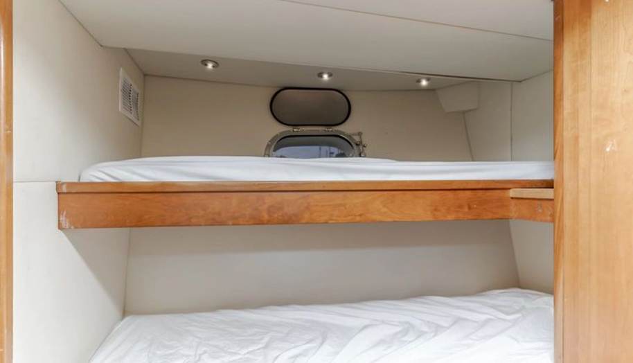 Active Octo for sale 56