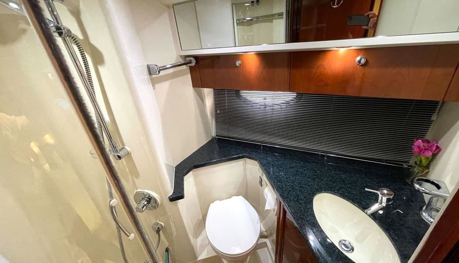 DRAGONFLY for sale 31