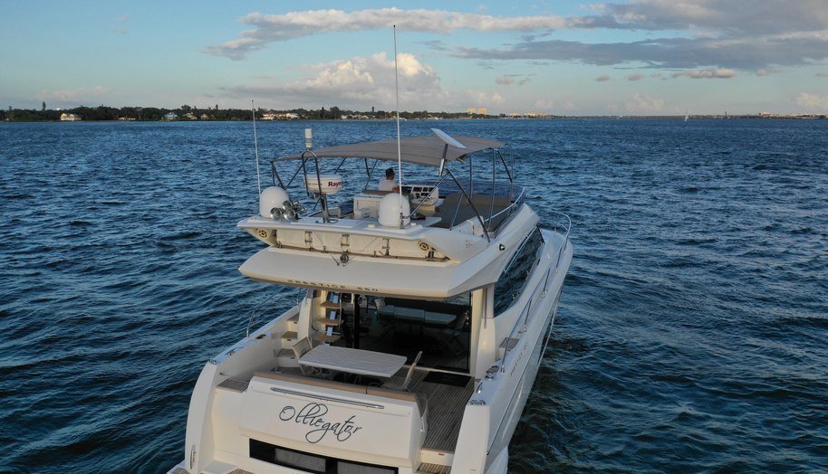 OLLIE-GATOR for sale 11