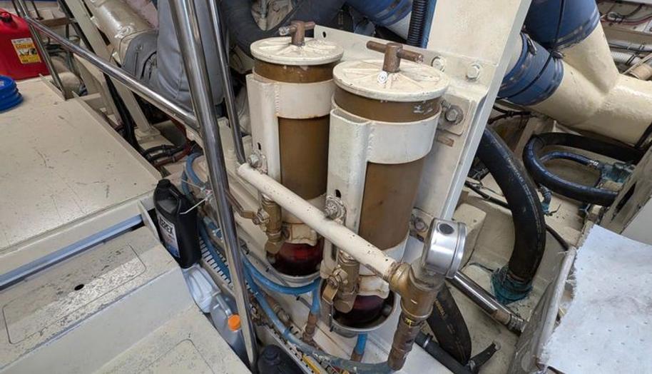 Mas Fina for sale 41