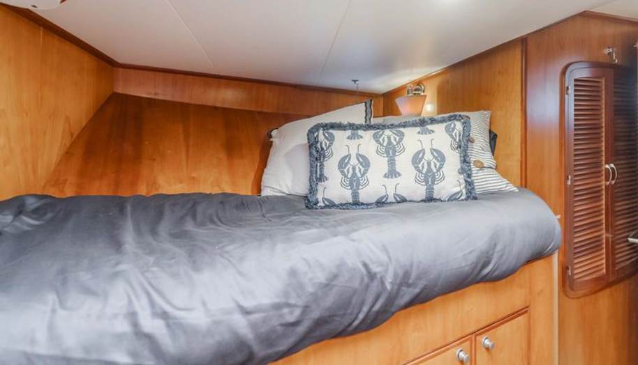 Tribeless for sale 31