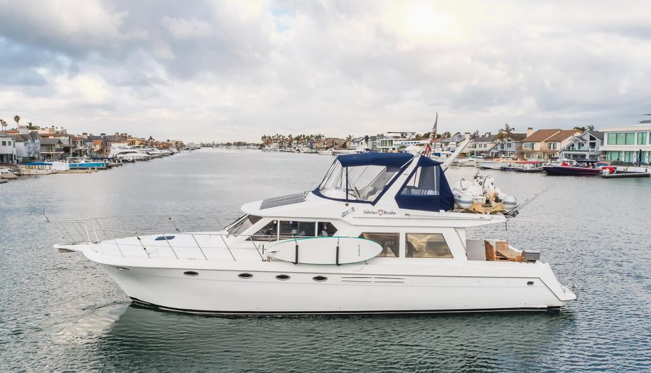 SILVIUS BRABO for sale 6