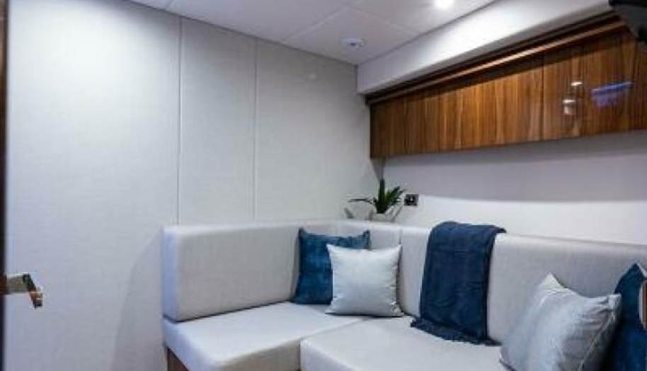 Greyhound for sale 56
