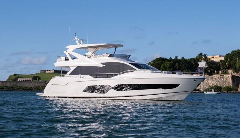 Chinonino for sale 1