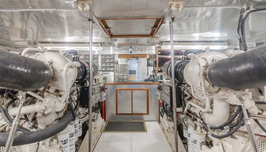 Tribeless for sale 246