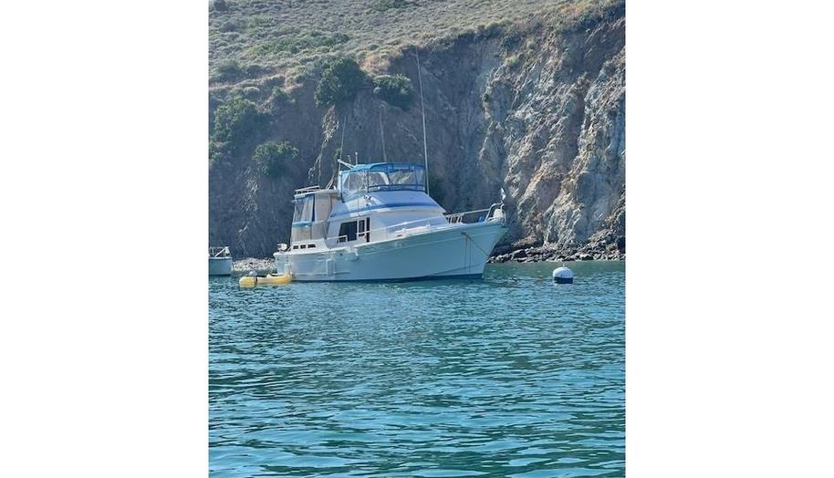 Fisher Folly IV for sale 1