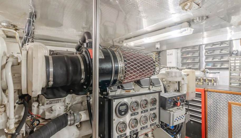 Tribeless for sale 311