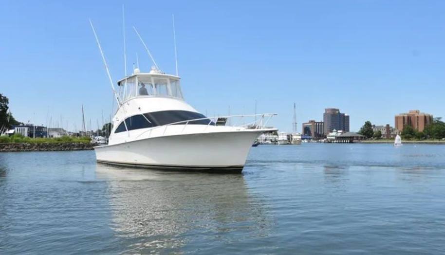 DRAM-BUOY for sale 1