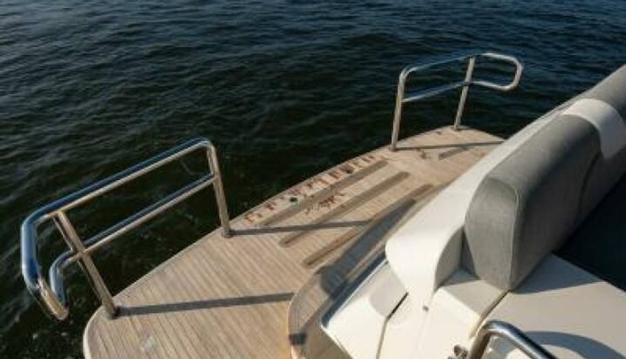 Greyhound for sale 16
