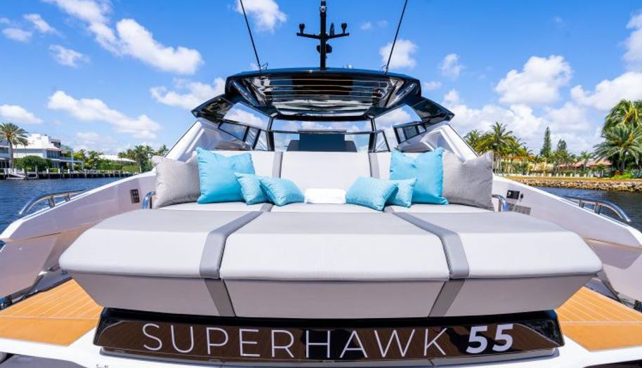 SUPERHAWK 55 for sale 16